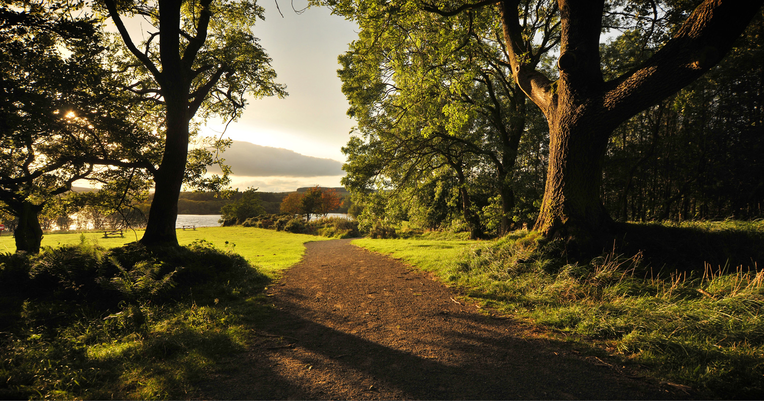 view of Derwent Waterside Park